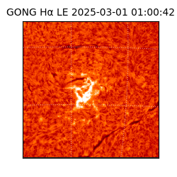 gong - 2025-03-01T01:00:42