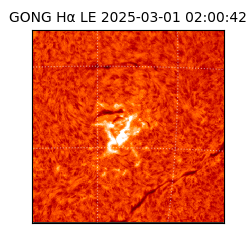gong - 2025-03-01T02:00:42
