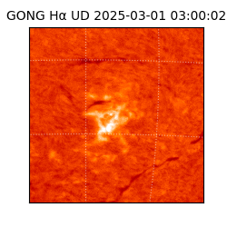 gong - 2025-03-01T03:00:02