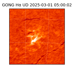 gong - 2025-03-01T05:00:02