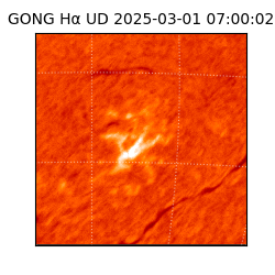 gong - 2025-03-01T07:00:02