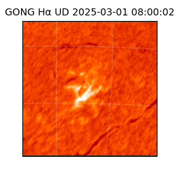 gong - 2025-03-01T08:00:02