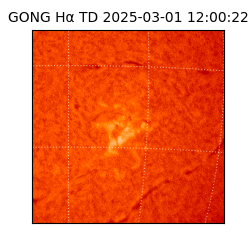 gong - 2025-03-01T12:00:22