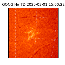 gong - 2025-03-01T15:00:22
