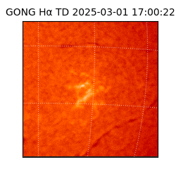 gong - 2025-03-01T17:00:22