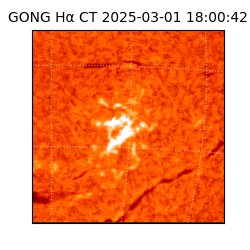 gong - 2025-03-01T18:00:42