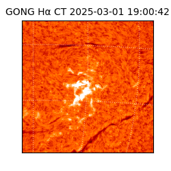 gong - 2025-03-01T19:00:42