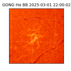 gong - 2025-03-01T22:00:02