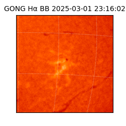 gong - 2025-03-01T23:16:02