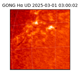 gong - 2025-03-01T03:00:02