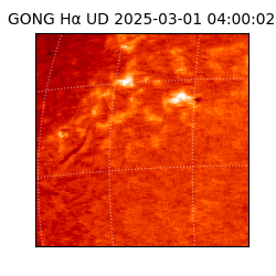 gong - 2025-03-01T04:00:02