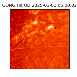 gong - 2025-03-01T06:00:02