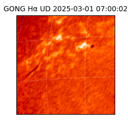 gong - 2025-03-01T07:00:02