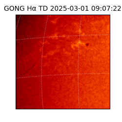 gong - 2025-03-01T09:07:22