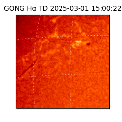gong - 2025-03-01T15:00:22