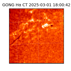 gong - 2025-03-01T18:00:42
