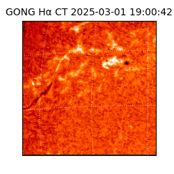 gong - 2025-03-01T19:00:42