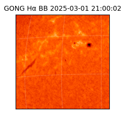 gong - 2025-03-01T21:00:02