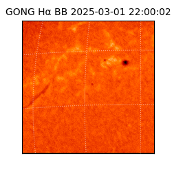 gong - 2025-03-01T22:00:02