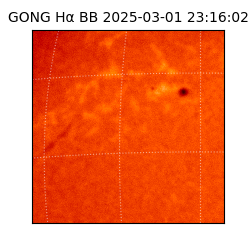 gong - 2025-03-01T23:16:02