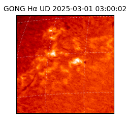 gong - 2025-03-01T03:00:02