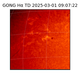 gong - 2025-03-01T09:07:22