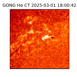 gong - 2025-03-01T18:00:42