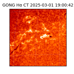 gong - 2025-03-01T19:00:42