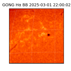 gong - 2025-03-01T22:00:02