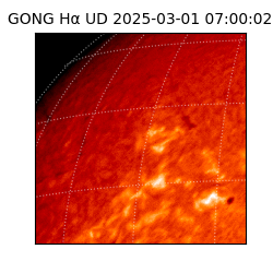 gong - 2025-03-01T07:00:02