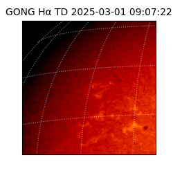 gong - 2025-03-01T09:07:22
