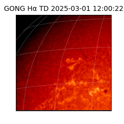 gong - 2025-03-01T12:00:22