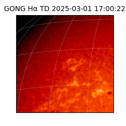 gong - 2025-03-01T17:00:22