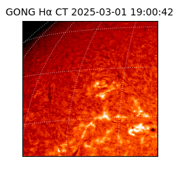 gong - 2025-03-01T19:00:42