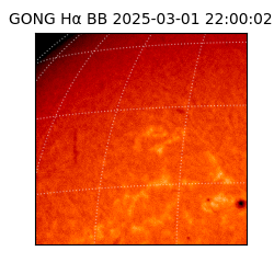 gong - 2025-03-01T22:00:02