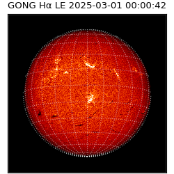 gong - 2025-03-01T00:00:42