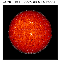 gong - 2025-03-01T01:00:42