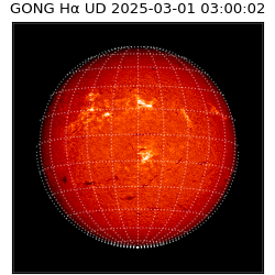 gong - 2025-03-01T03:00:02