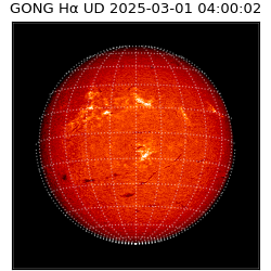 gong - 2025-03-01T04:00:02