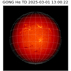 gong - 2025-03-01T13:00:22