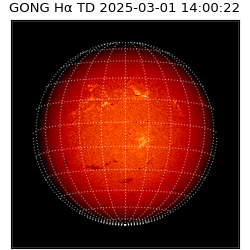 gong - 2025-03-01T14:00:22