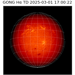 gong - 2025-03-01T17:00:22