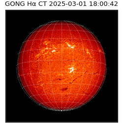 gong - 2025-03-01T18:00:42