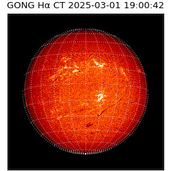 gong - 2025-03-01T19:00:42