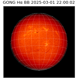 gong - 2025-03-01T22:00:02