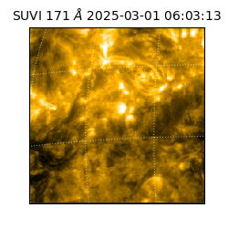 suvi - 2025-03-01T06:03:13.480000