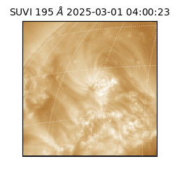 suvi - 2025-03-01T04:00:23.174000