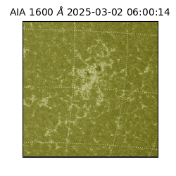 saia - 2025-03-02T06:00:14.125000