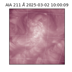 saia - 2025-03-02T10:00:09.633000