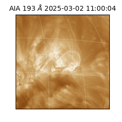 saia - 2025-03-02T11:00:04.843000